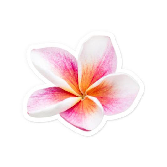 Tropical Flower Sticker